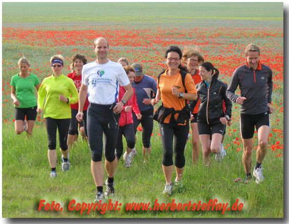 Laufen vor dem Bltenmeer - Laufwoche mit Herbert Steffny in Fleesensee