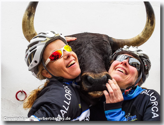 Viel Spass bei der Lauf und Rennradwoche auf Mallorca!